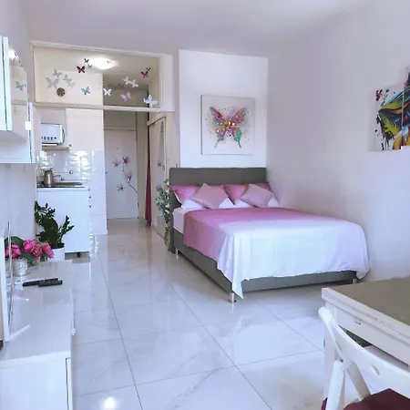Cute Studio-great Location زادار