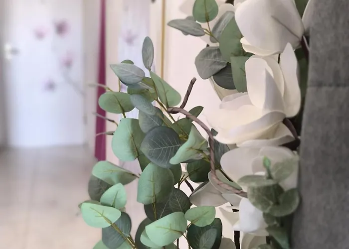 Cute Studio-great Location * Ζαντάρ