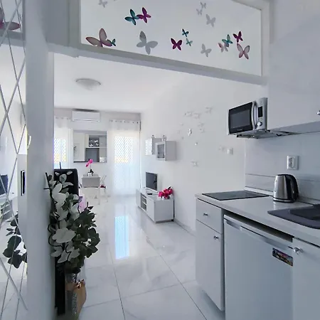 Cute Studio-great Location