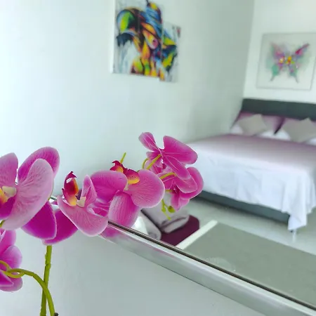 Appartement Cute Studio-great Location
